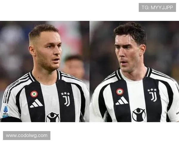 弗拉霍维奇缺阵98天后恢复与尤文合练 弗拉霍维奇缺阵98天后恢复与尤文合练